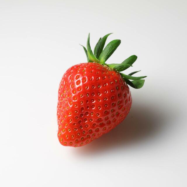 「ブランドいちご食べ放題 アールスメロン登場」＜期間：2026年4月8日～＞【【スイパラ】「すいぱらひめ」も「あまおう」も食べ放題！1stプレートに濃厚な甘さの「メロンの王様 アールスメロン」が登場！】