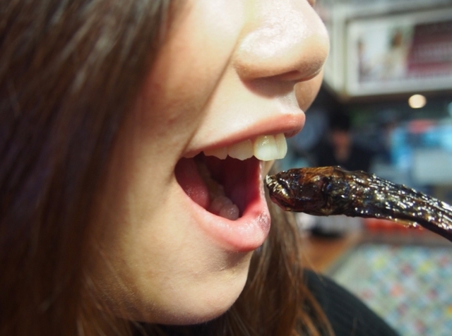 過去のイベントの模様