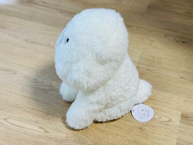 どっしりと座った横向きの姿に癒されます