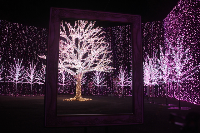 さがみ湖イルミリオン
