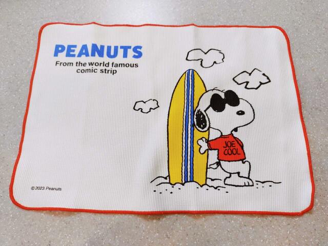 シンク隣に置いてみた