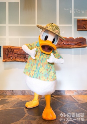 アウラニ】レアキャラ “ドナルドダック” に会える!「メネフネ