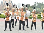 東京ディズニーランドバンド｜2017年 東京ディズニーランド「ディズニー・ハロウィーン」