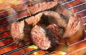 【肉フェス】炭火焼 タレハラミ