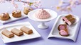 【東京ギフトパレット】桜色のスイーツが揃う「スプリングスイーツフェア」開催!