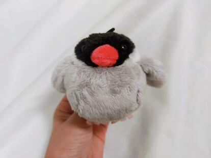 肩に文鳥が！「ニトリの着る毛布」がSNSで大人気！買ったら納得