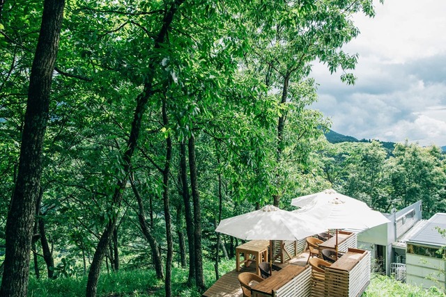 【深呼吸したくなる新緑カフェランキング】第2位：「ゆずの木 ねむの木 みずたまの木」（熊本県）