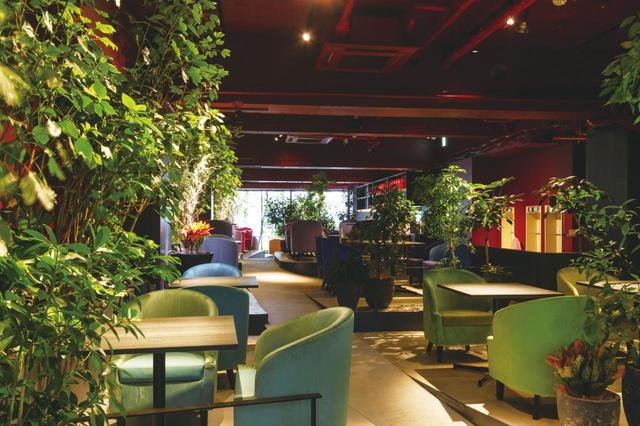 【兵庫・三宮｜GREEN HOUSE Wald】