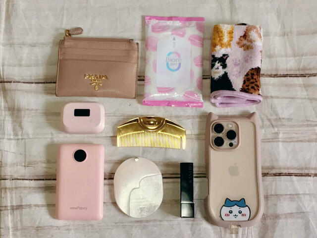 これだけのものが収納できました!