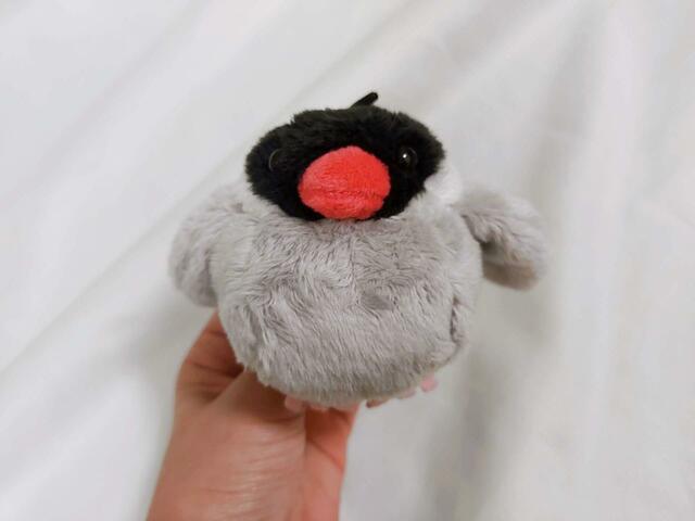 文鳥はコンパクトでとってもかわいいデザイン