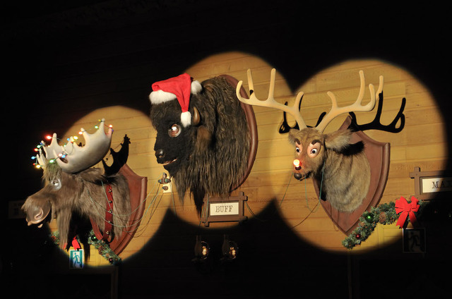 東京ディズニーランド 2015年 クリスマス・ファンタジー 「カントリーベア・シアター“ジングルベル・ジャンボリー”」