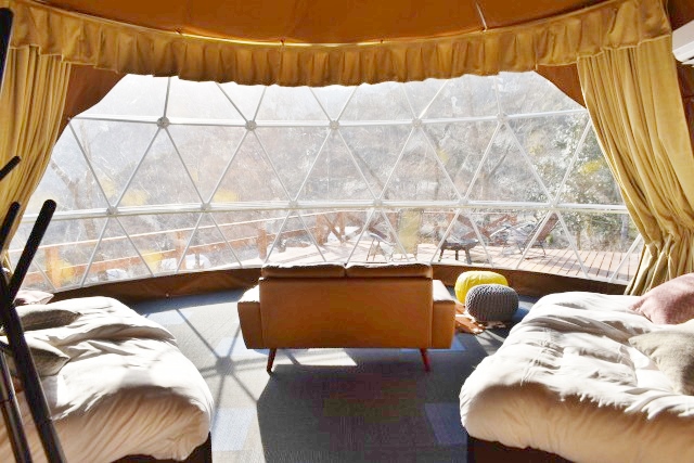 ドームの中から見える景色