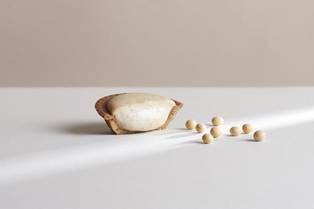 植物うまれの SOY タルト