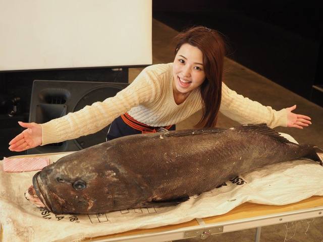 過去のイベントの模様