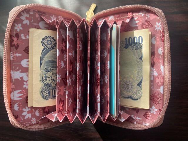 【宝島社　MOOMIN カードが見やすい じゃばら式コンパクト財布 BOOK SMOKY PINK】お札はカードの下に通して入れるタイプ