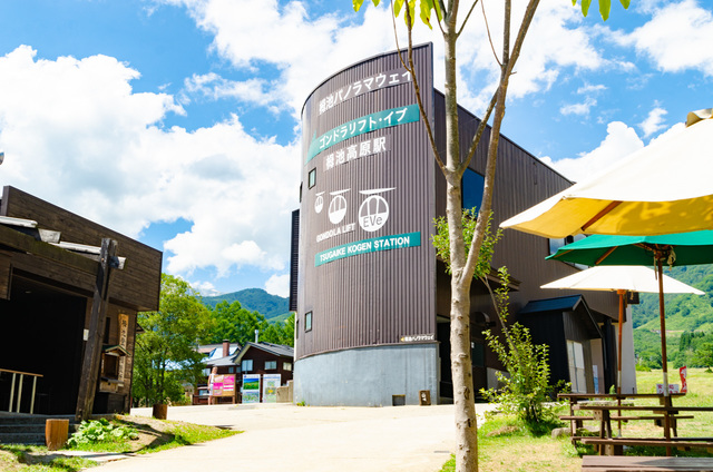 ゴンドラリフト「イヴ」栂池高原駅