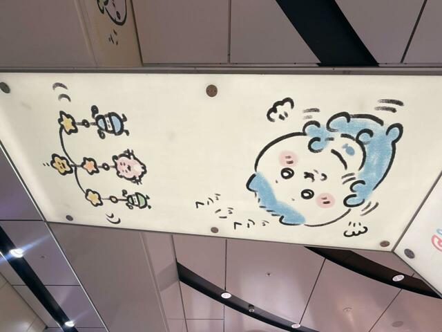 ハチワレもラッコと一緒に訓練中。ベッドメリーが闇深い…