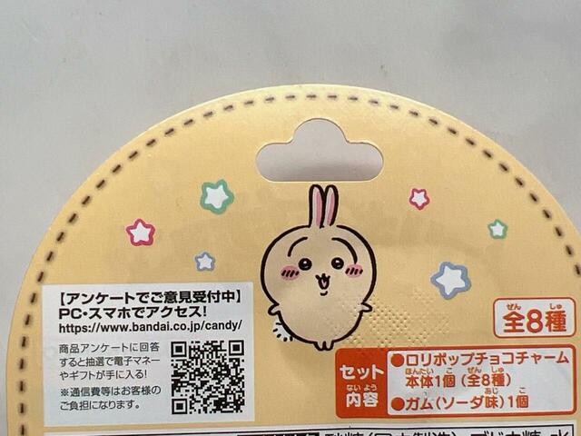 裏面にもうさぎが！少し見えているふわふわのしっぽがかわいい〜！