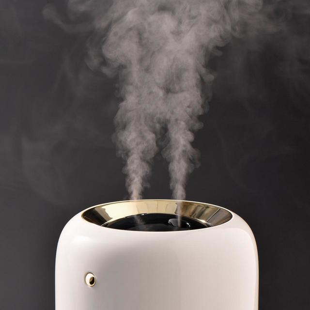 【Francfranc（フランフラン）】ルアーナ 充電式加湿器