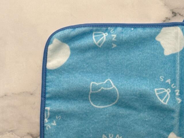 カラーはハチワレブルー！