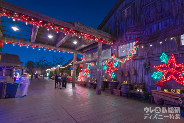 東京ディズニーシーのクリスマス「ロストリバーデルタ」