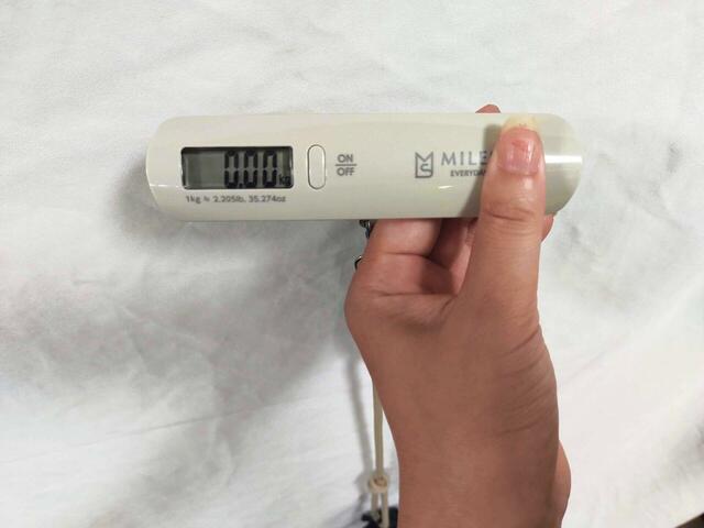 重さは測定できないほど軽い