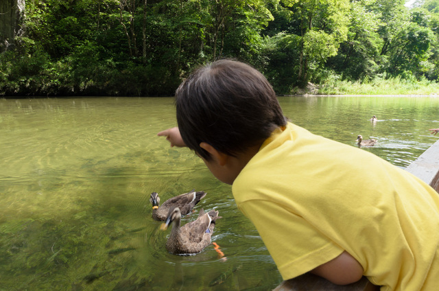 その土地ならではの体験も