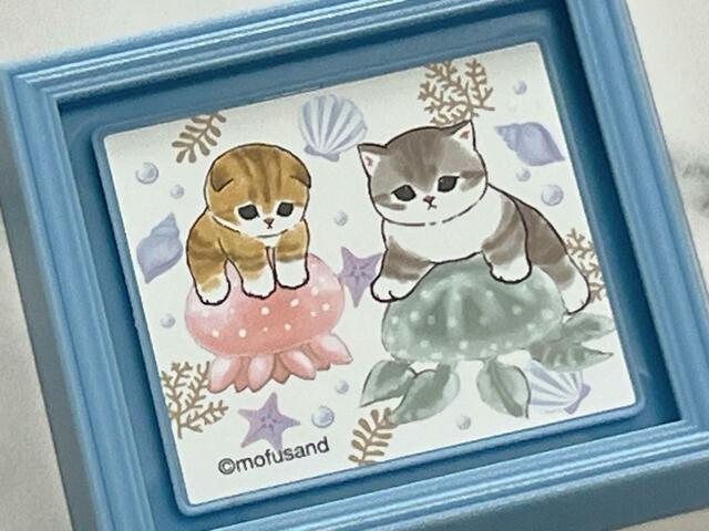 少し不安げな表情でクラゲに乗るにゃんこたちがたまりません…！