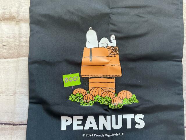 スヌーピーハウスがハロウィン仕様に!眠っているスヌーピーがキュート