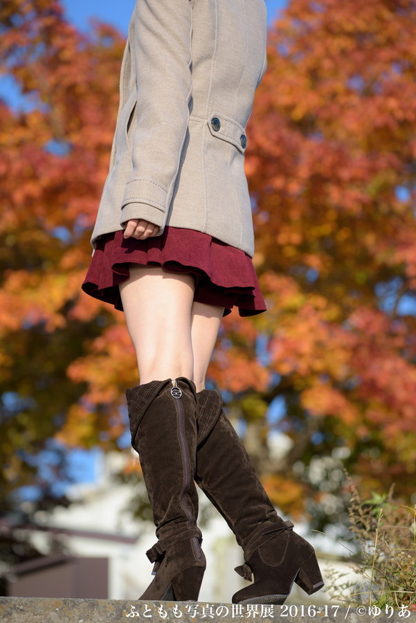 ふともも写真の世界展 2016-17