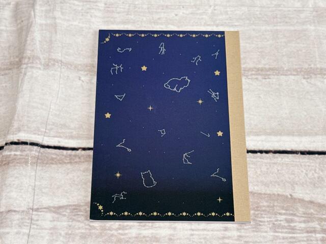 背面も星座柄でおしゃれ