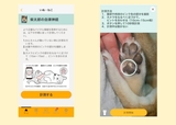 【犬の健康を守るアプリカルテコ】肉球のピンクの部分で計測してみましたが、黒い部分が多いため正しく計測できず…