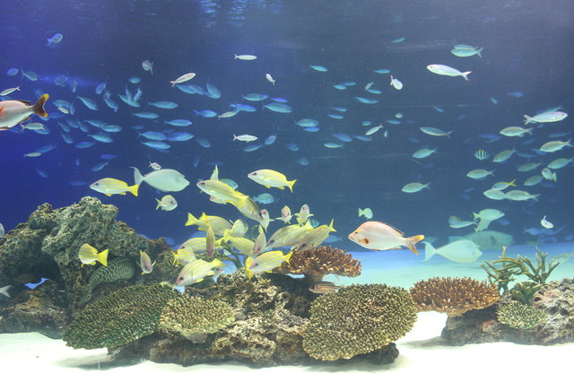 オトナも癒されます