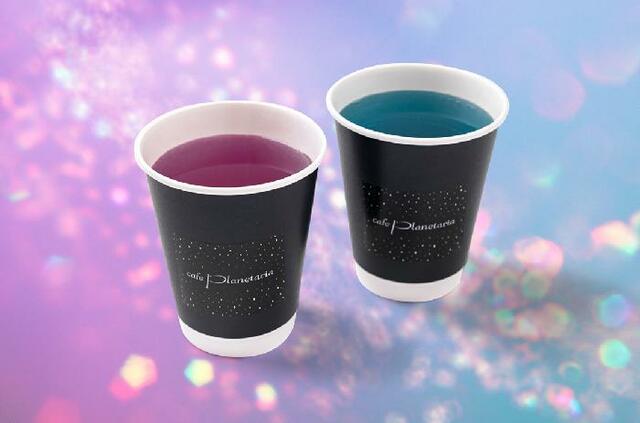 【熟睡プラ寝たリウム -1等星めぐりとギリシャ神話の読み聞かせ -】