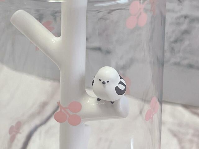 コップ越しにみても愛らしいシマエナガ♪