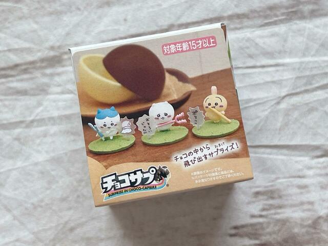 パッケージには中身の見本がプリントされています♪