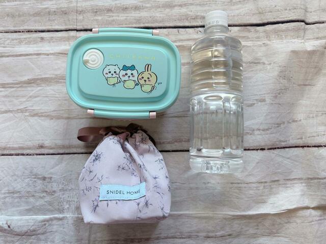 550mlもペットボトルとおむすびが2個入った巾着、お弁当箱を入れてみました