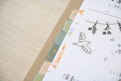 【GAACAL「大人ノート」で始めるライフログ】インデックスステッカーがあるとわかりやすい！