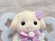 かわいいたれ耳が特徴のフローラウサギ。お顔もキュートです！