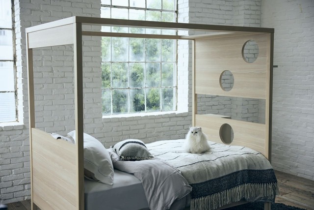 【フランスペット】「キャットタワー付きベッド」