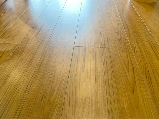 【アイリスオーヤマ キレイな水でWASHモップ】AFTER。モップが細かなゴミを絡め取ってくれ、とってもきれいになりました！