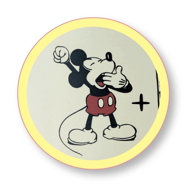 保温・保冷のパーソナルボトル＜350ml＞(選べるキャラクター)｜￥ 2,310 （税込）