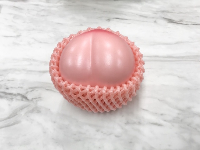 たとえばこんなにかわいいモモが……