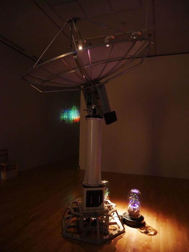 森脇裕之《時花／トキハナ》2020年