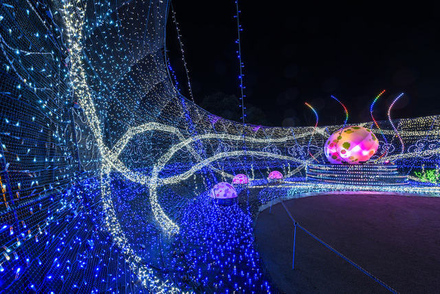 アパリゾート上越妙高イルミネーション2016