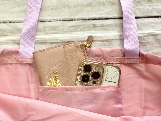 スマホとフラグメントケースが入るサイズ感