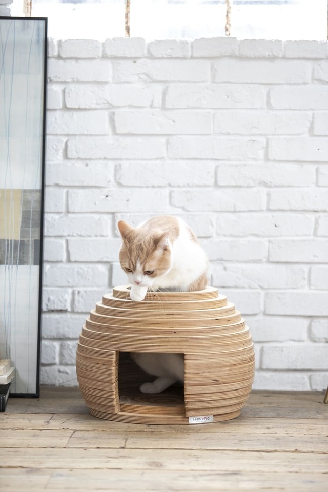 【フランスペット】「ねこハウス まり」