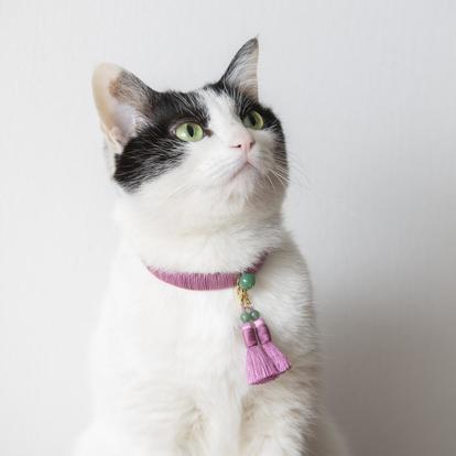 キュートな 猫アイテム 大集合 ねこグッズあつめてみました にゃんにゃんにゃん 期間限定8ショップ うまいめし キュートな 猫アイテム 大集合 ねこグッズあつめてみました にゃんにゃんにゃん 期間限定8ショップ うまいめし