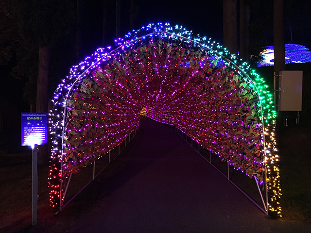 「アパリゾート上越妙高イルミネーション2015」