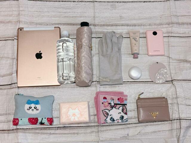 これだけの荷物が収納可能!